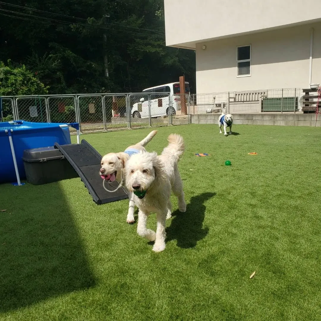 9月に入っても暑いのでプール入ってます😊