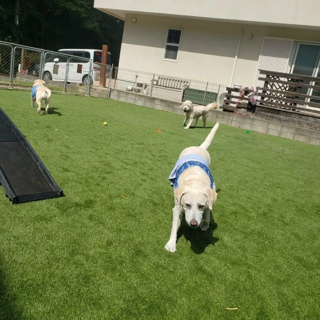 9月に入っても暑いのでプール入ってます😊