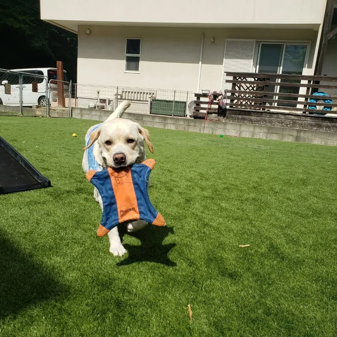 9月に入っても暑いのでプール入ってます😊