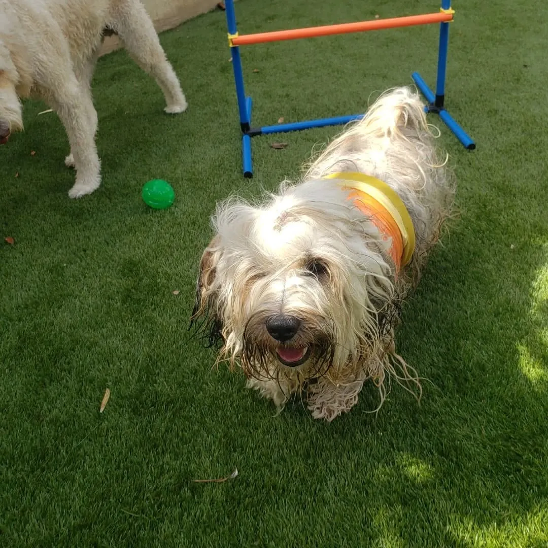 9月に入っても暑いのでプール入ってます😊