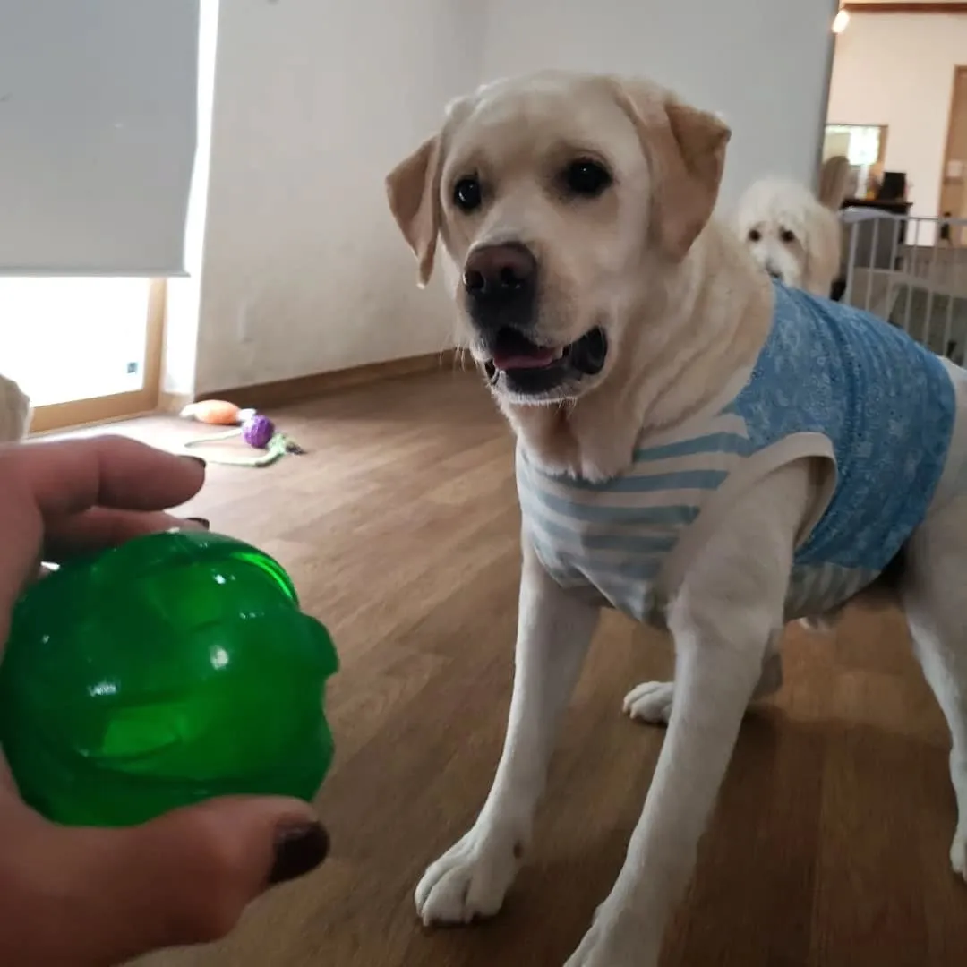 お昼はお部屋でおもちゃ遊び🎵