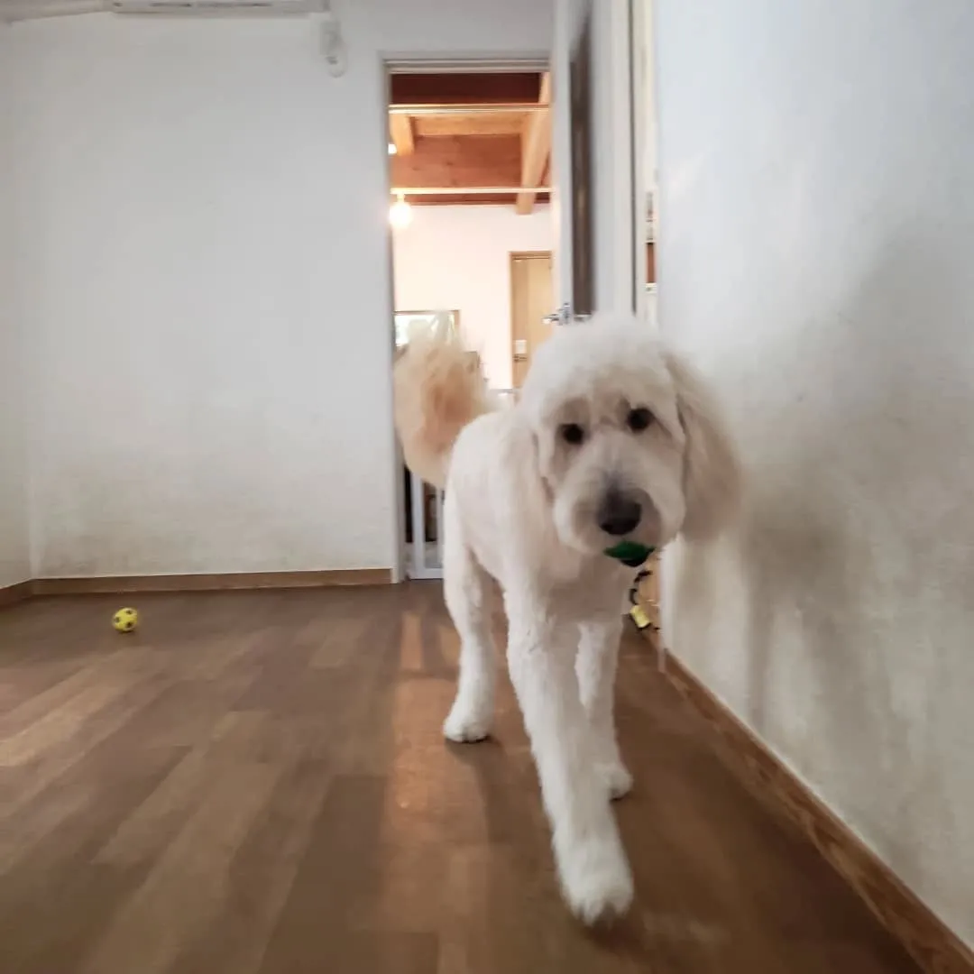 お昼はお部屋でおもちゃ遊び🎵