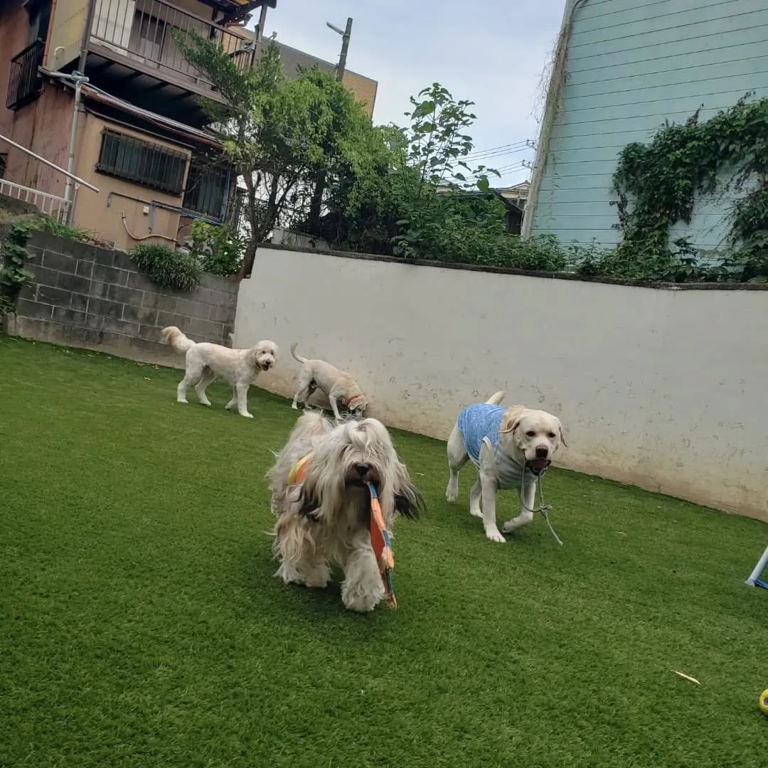 お昼はお部屋でおもちゃ遊び🎵