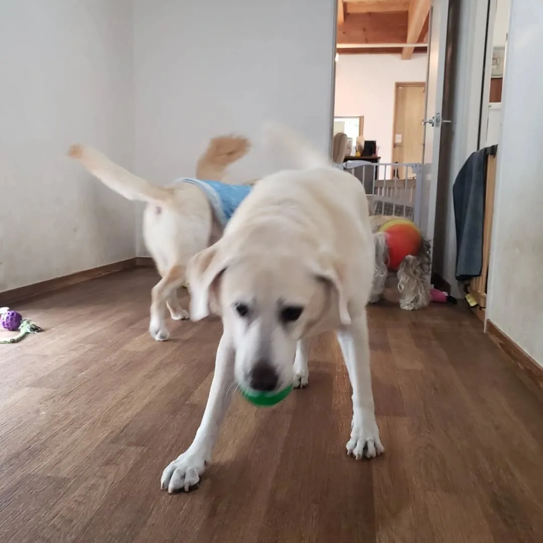 お昼はお部屋でおもちゃ遊び🎵