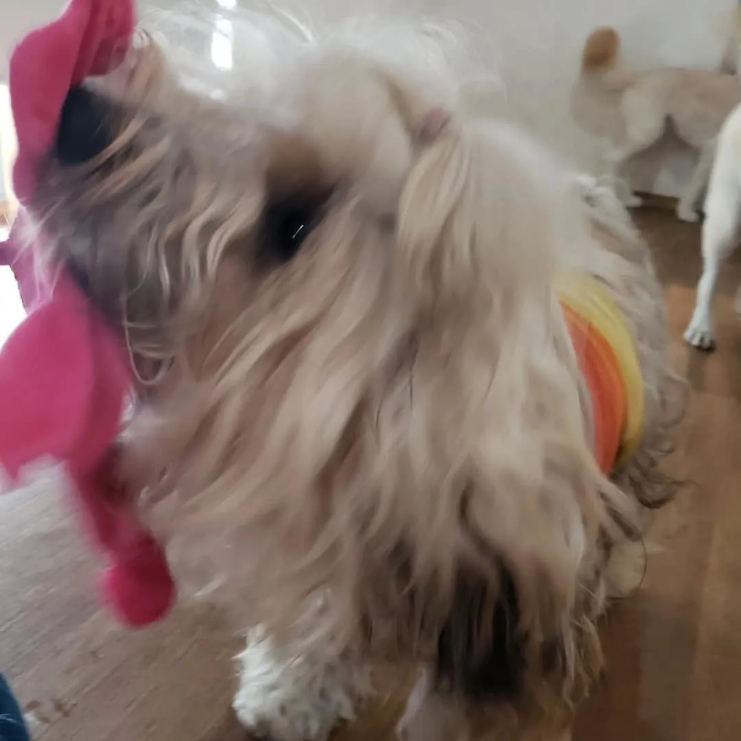 お昼はお部屋でおもちゃ遊び🎵