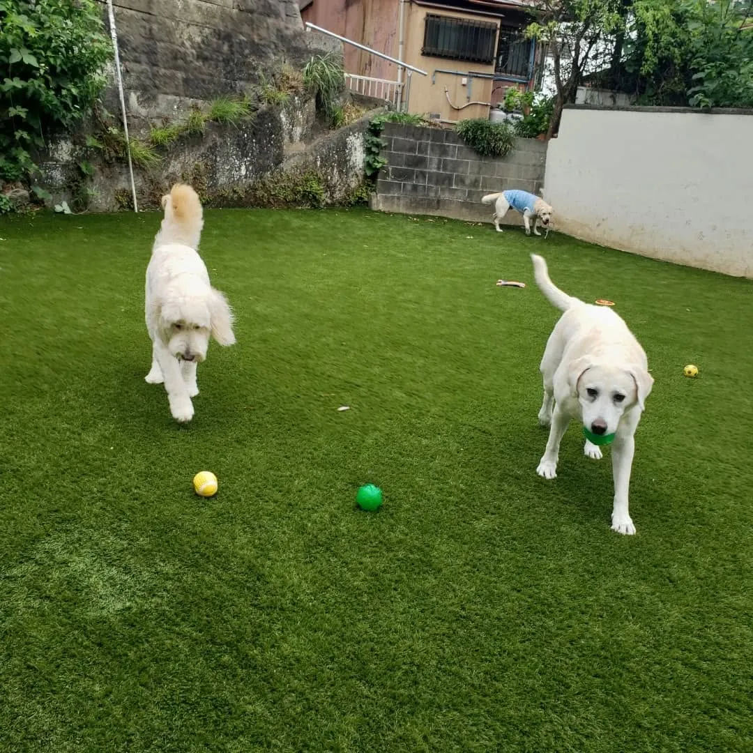 お昼はお部屋でおもちゃ遊び🎵