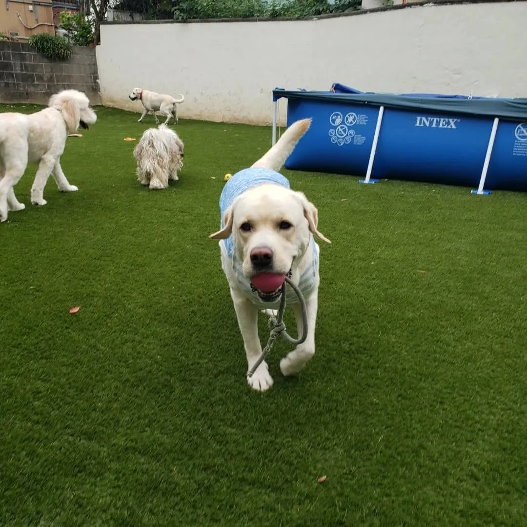 お昼はお部屋でおもちゃ遊び🎵