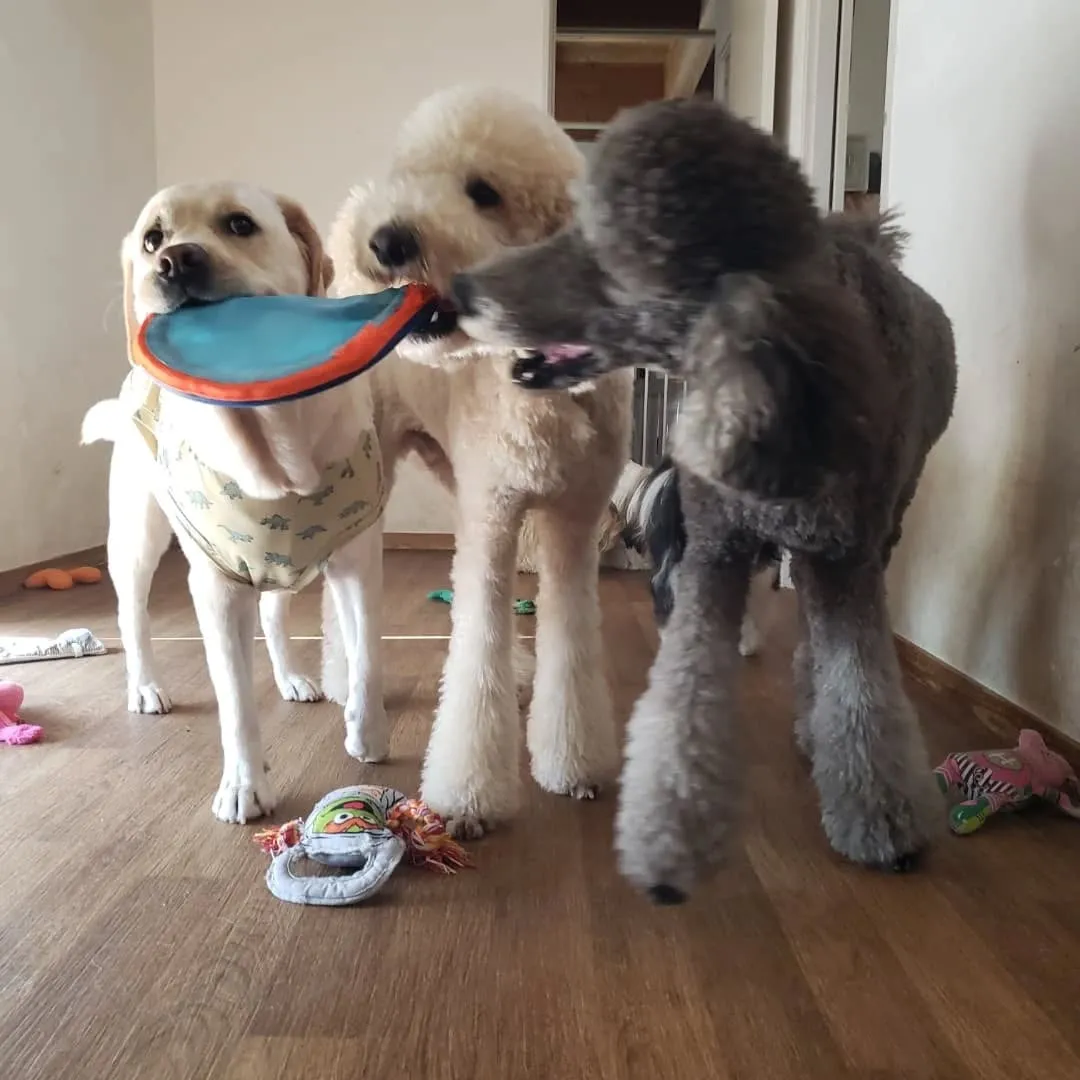 台風は去って良いお天気になりました😊
