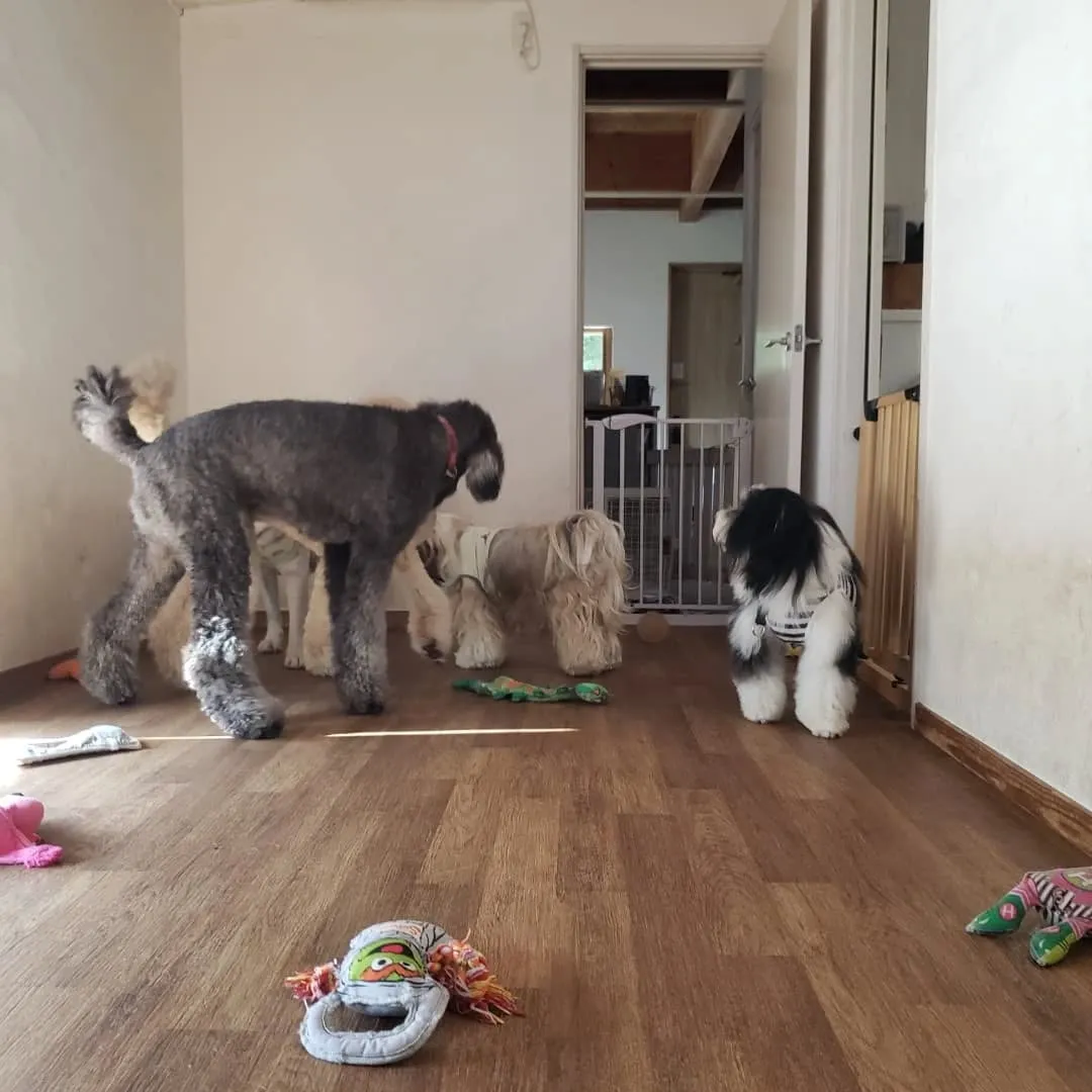 台風は去って良いお天気になりました😊