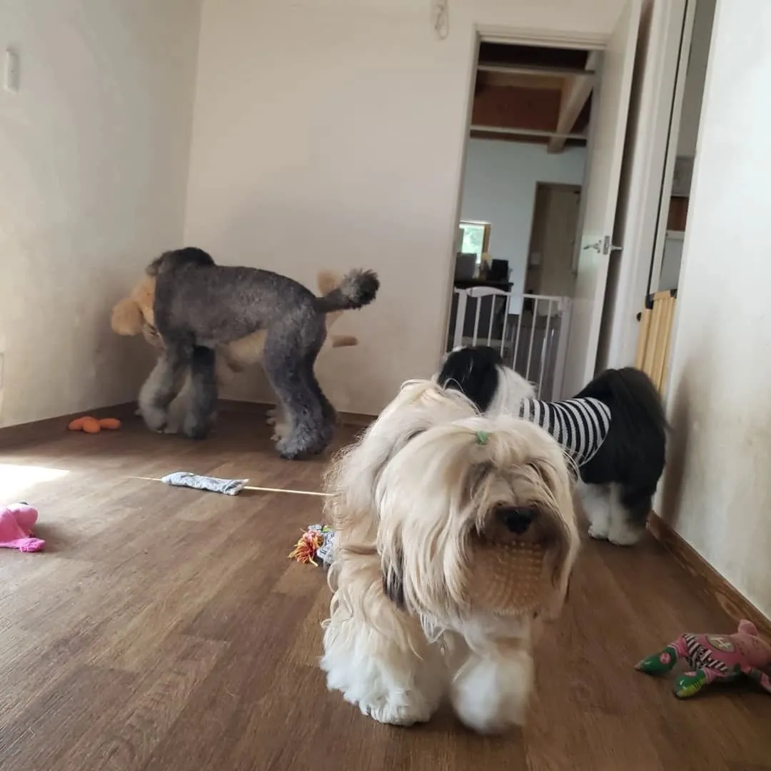 台風は去って良いお天気になりました😊