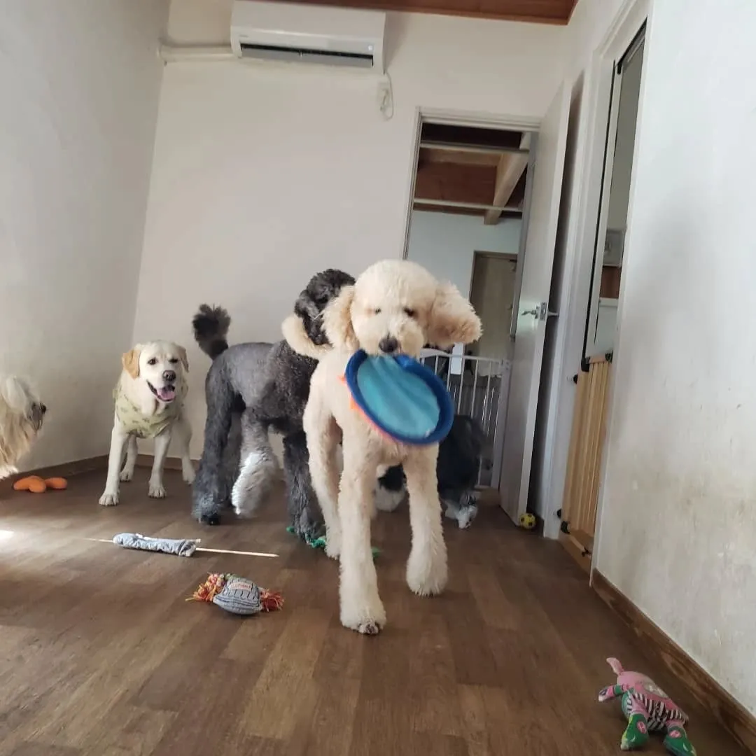 台風は去って良いお天気になりました😊