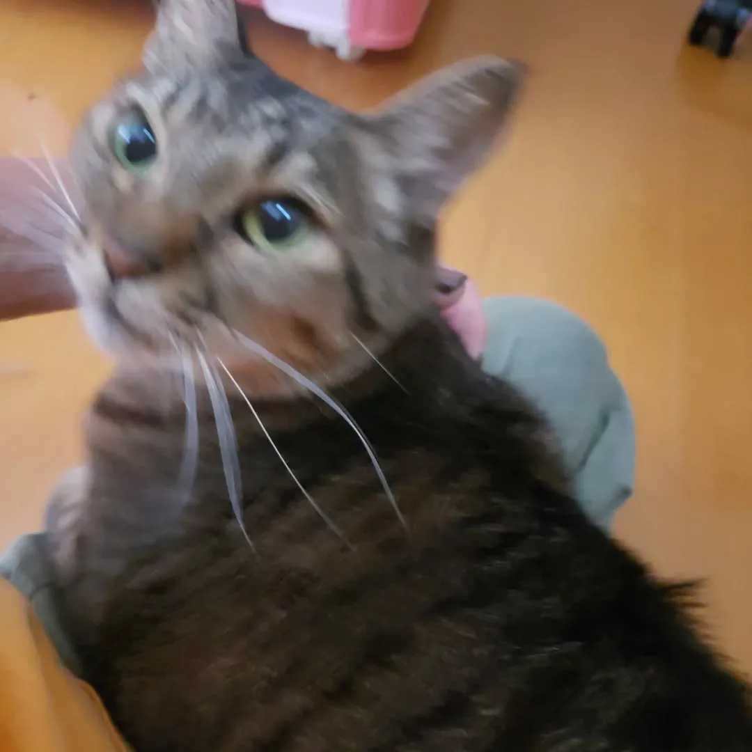 お世話に行ったアルト君♥️