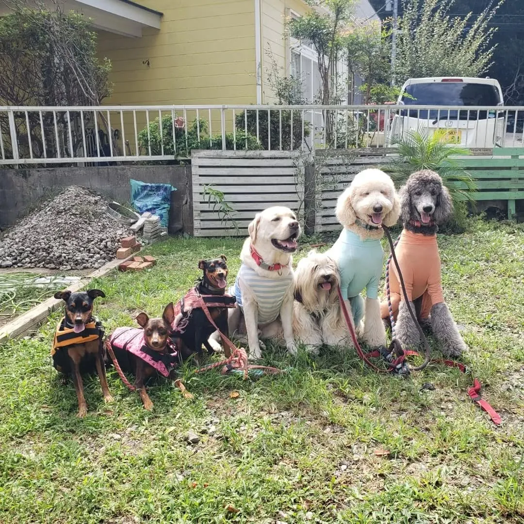 まだまだ暑いのでプール開催中❗