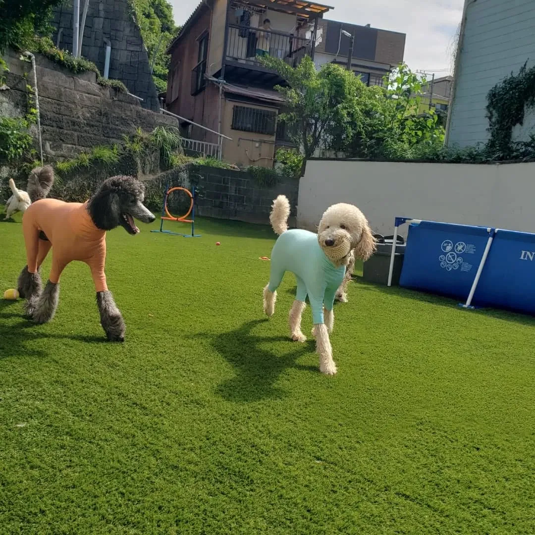 まだまだ暑いのでプール開催中❗