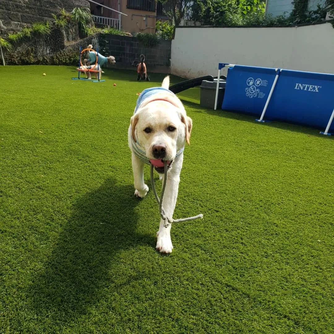 まだまだ暑いのでプール開催中❗