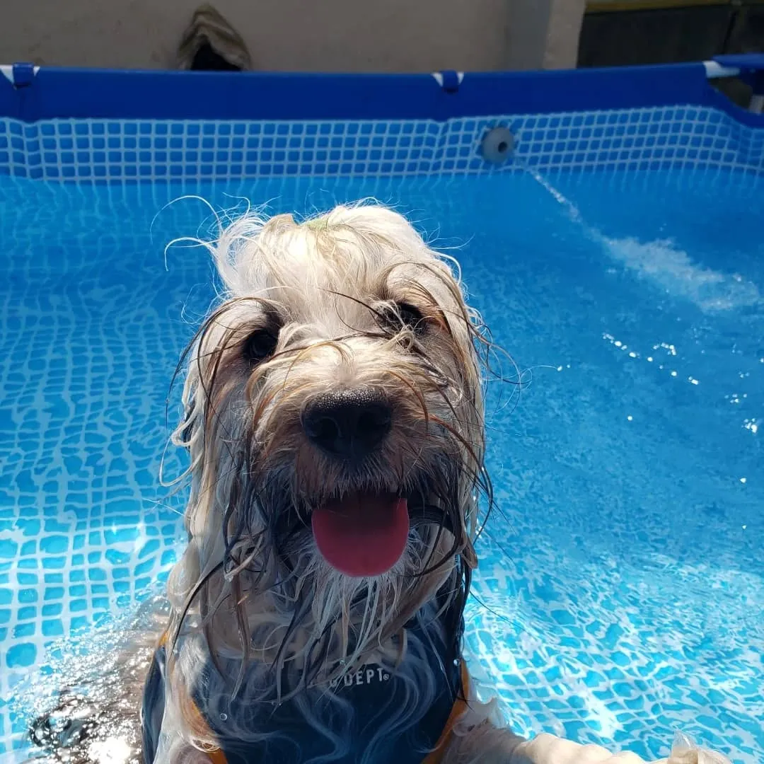 まだまだ暑いのでプール開催中❗