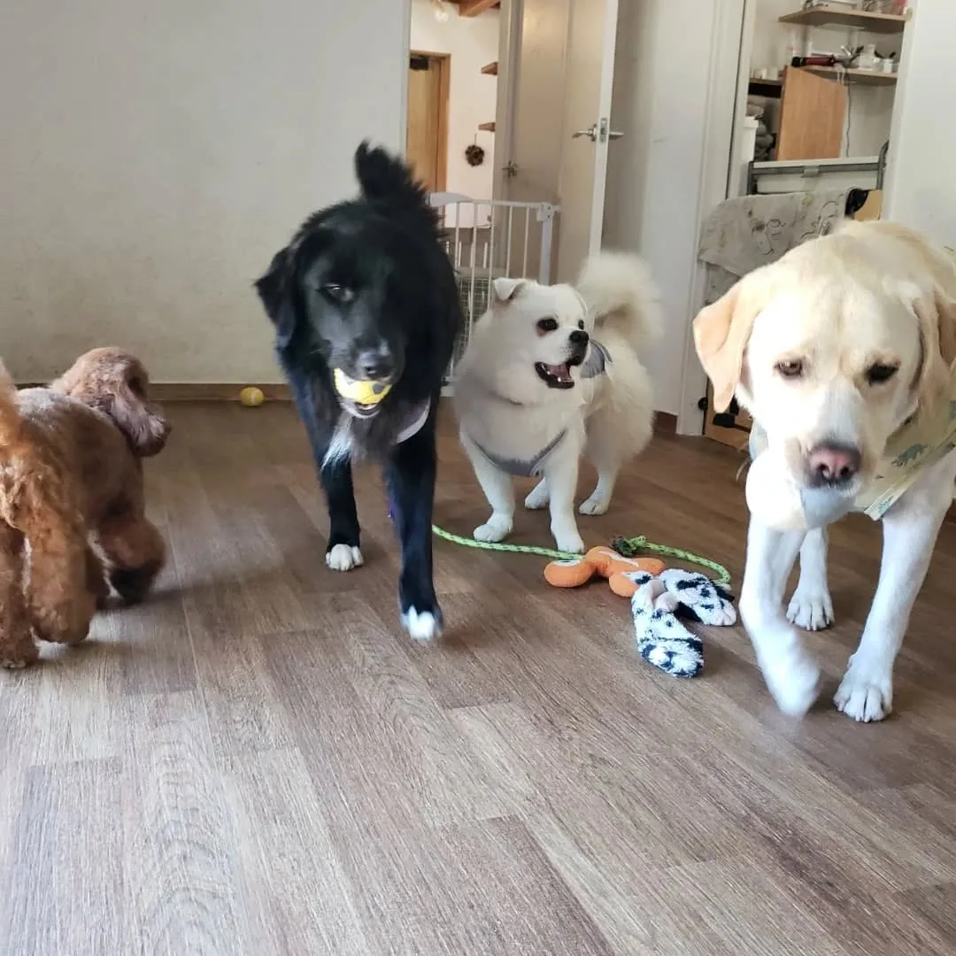 午前中はプール入って午後はお部屋遊び🎵