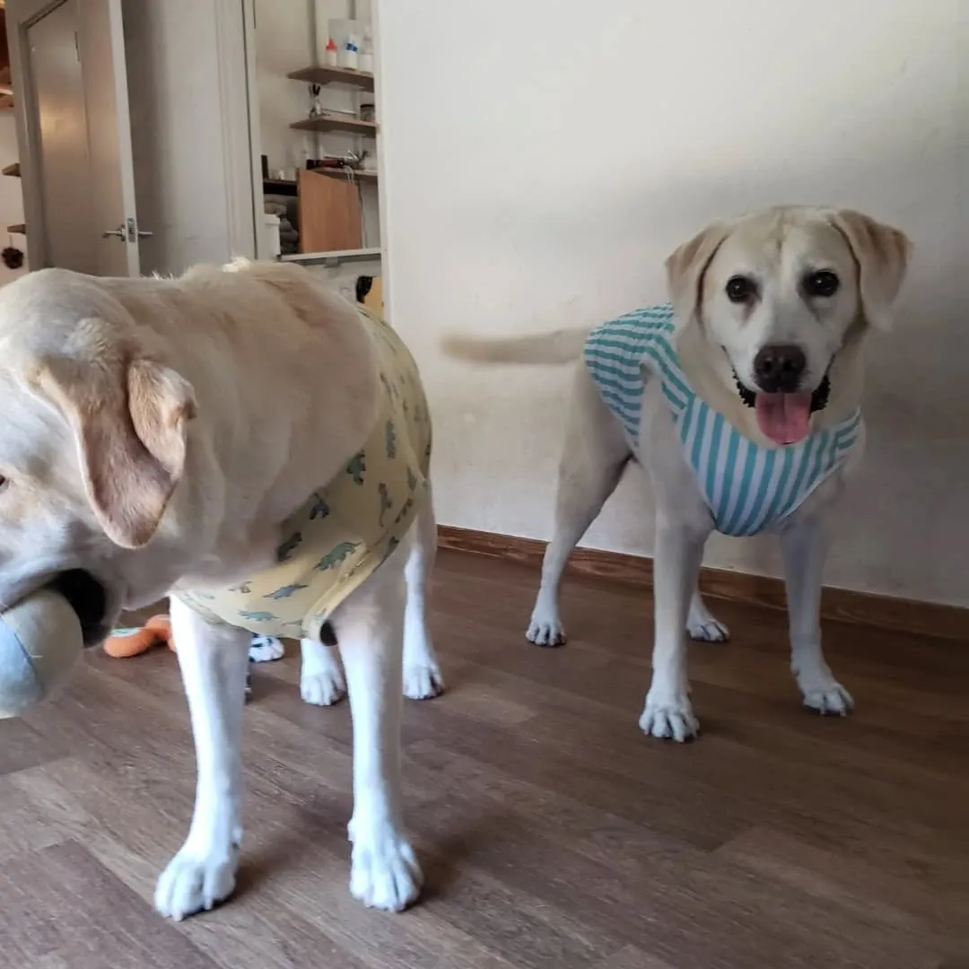 午前中はプール入って午後はお部屋遊び🎵