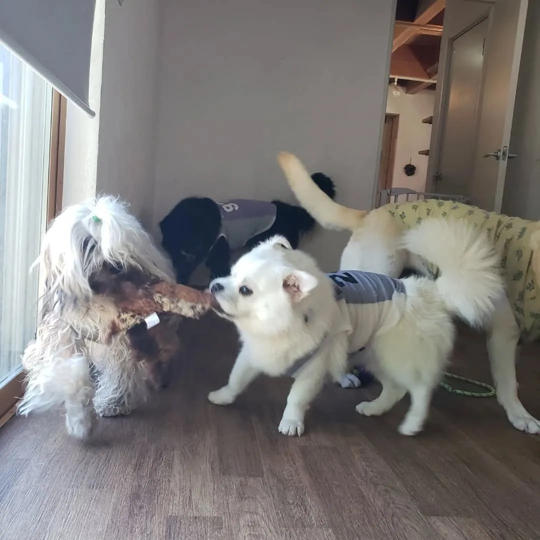 午前中はプール入って午後はお部屋遊び🎵