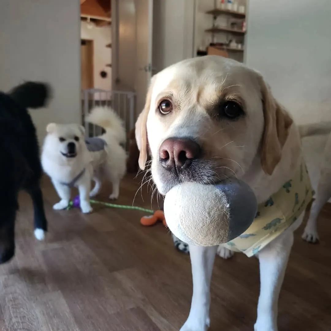 午前中はプール入って午後はお部屋遊び🎵