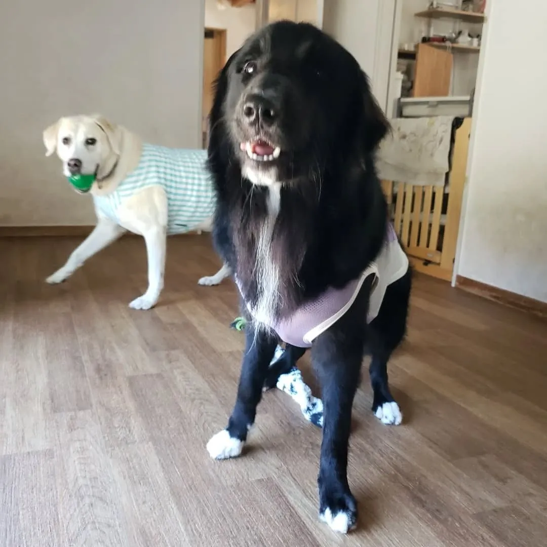 午前中はプール入って午後はお部屋遊び🎵