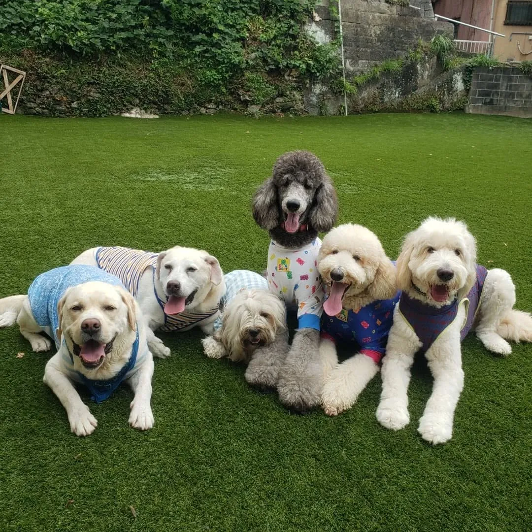 みんなホームステイにきてくれました🎵