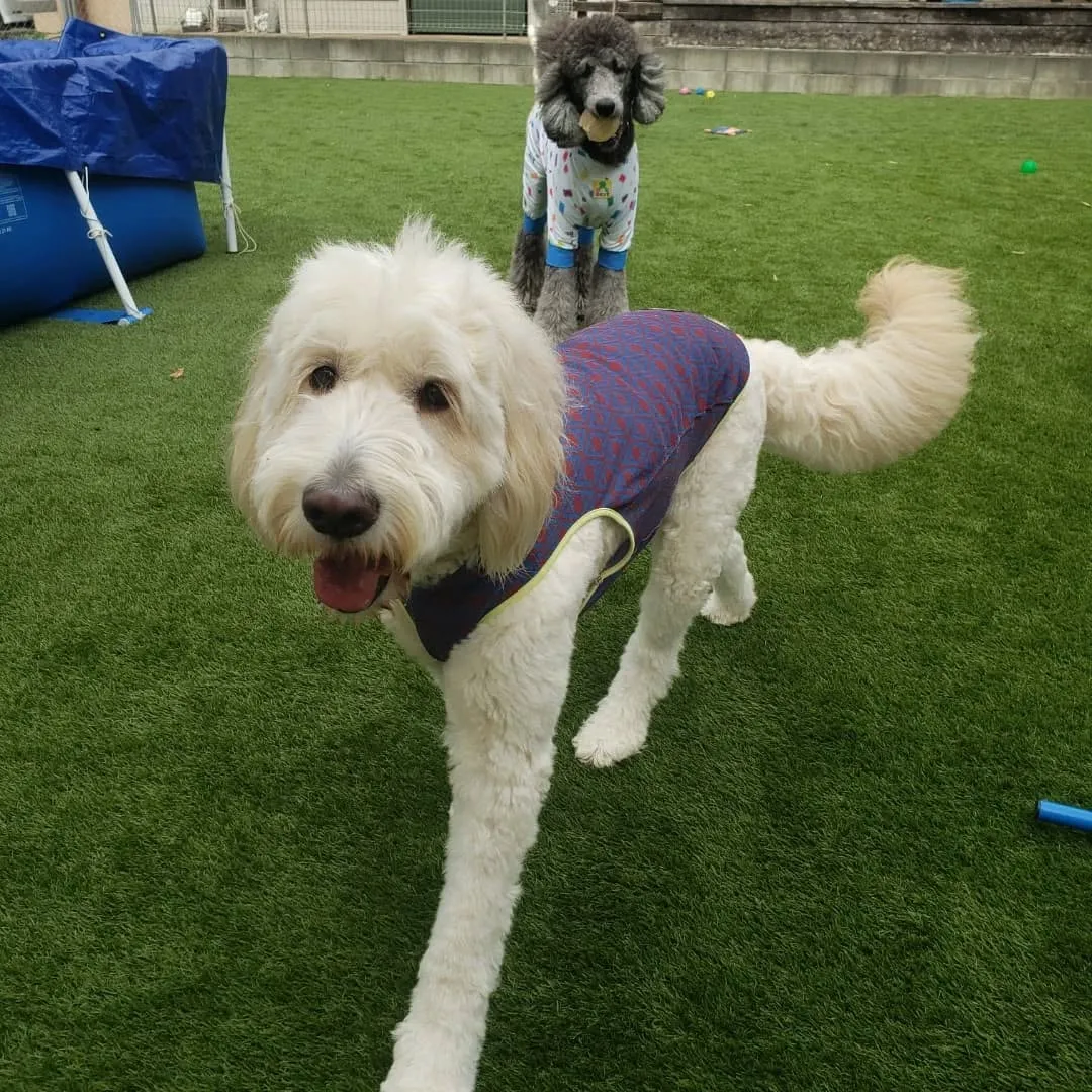 みんなホームステイにきてくれました🎵