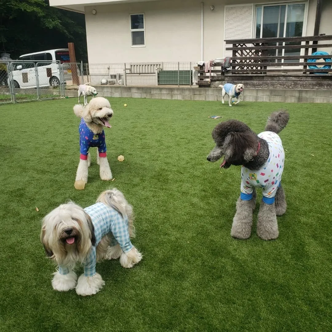 みんなホームステイにきてくれました🎵