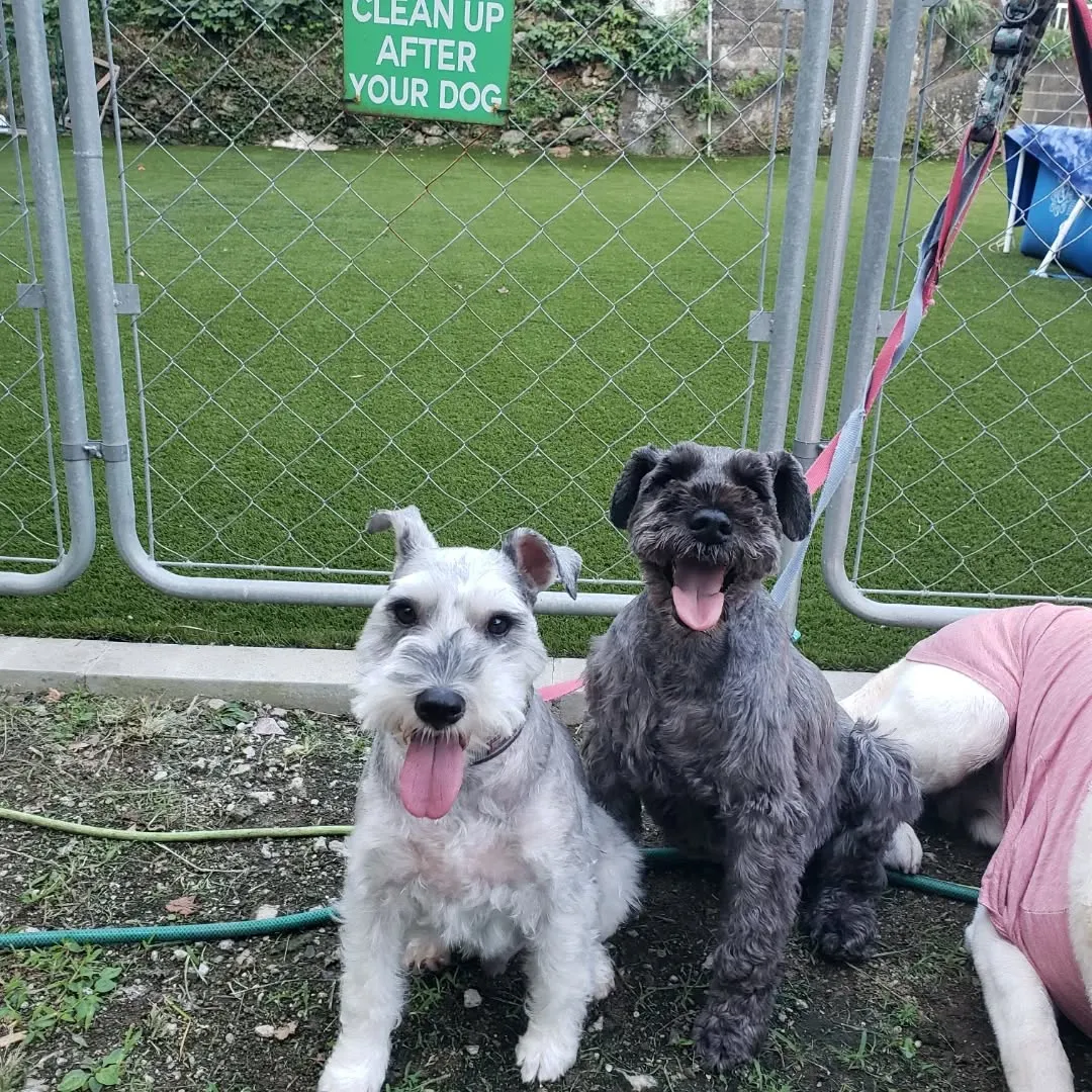 やっと涼しくなってきたのでたっぷりお散歩へ行けました😊