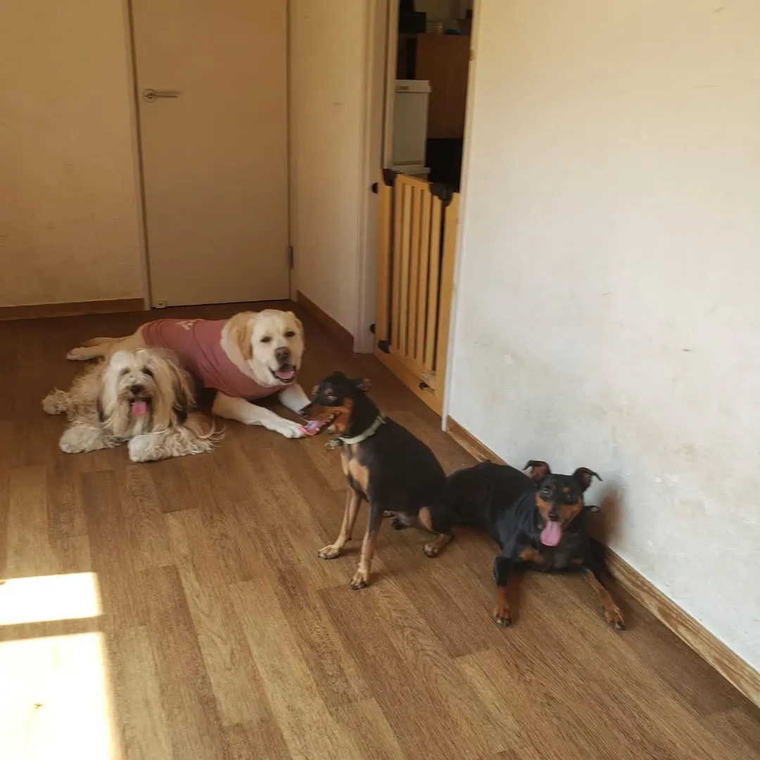 やっと涼しくなってきたのでたっぷりお散歩へ行けました😊