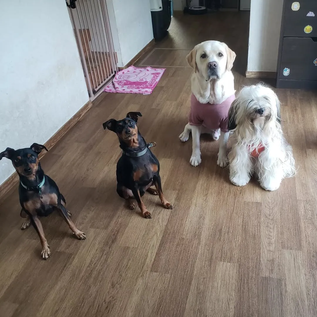 やっと涼しくなってきたのでたっぷりお散歩へ行けました😊