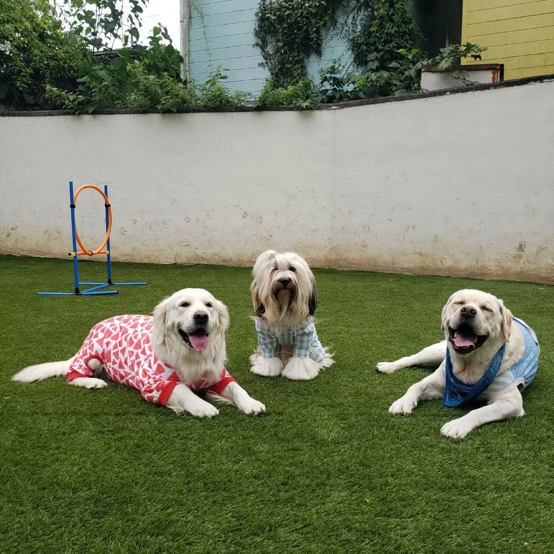 午後からはゆきちゃん登場❗