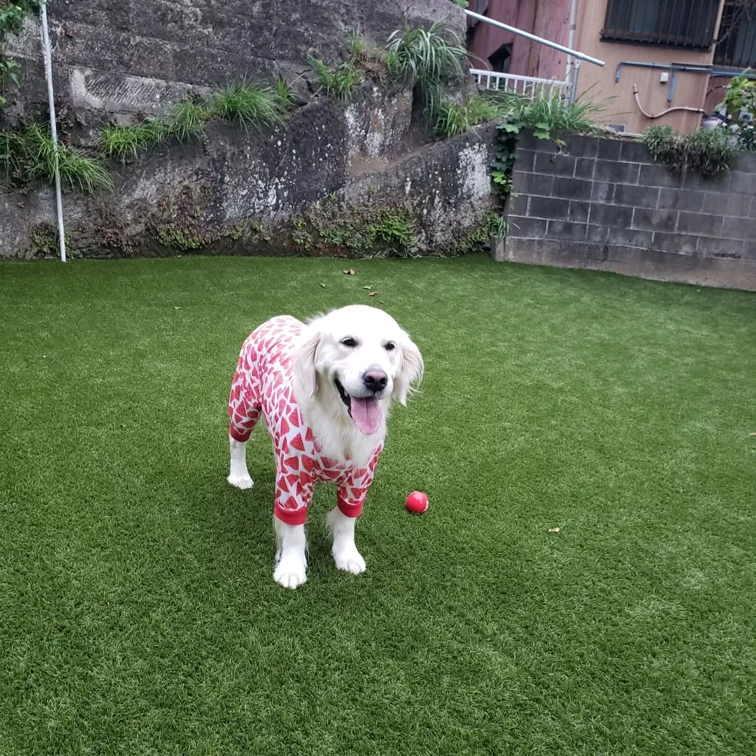 午後からはゆきちゃん登場❗