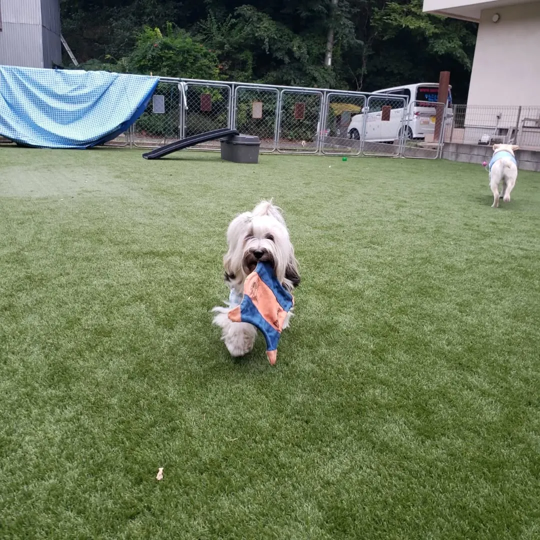 午後からはゆきちゃん登場❗