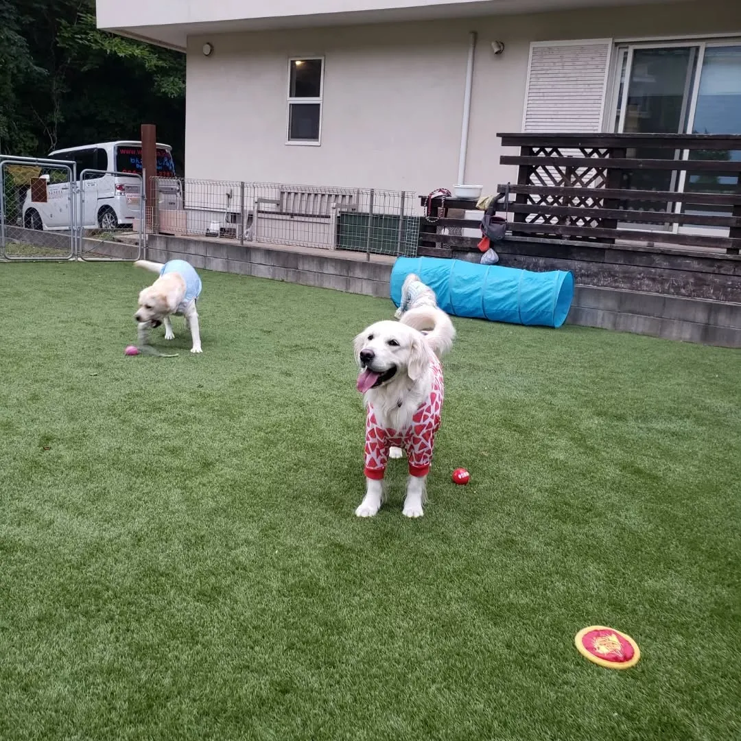 午後からはゆきちゃん登場❗