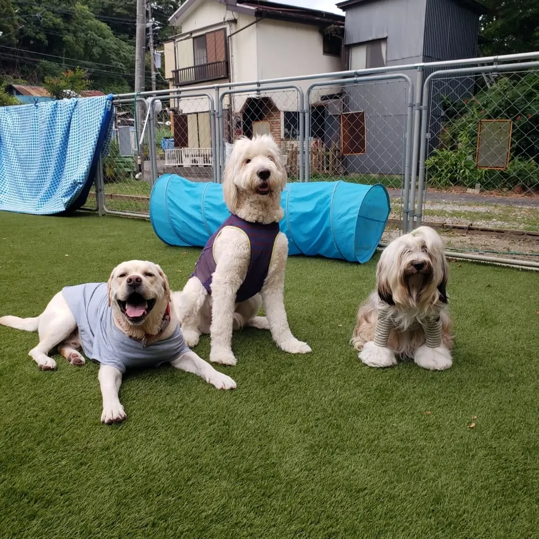 朝は三崎までお散歩へ行ってきました😊