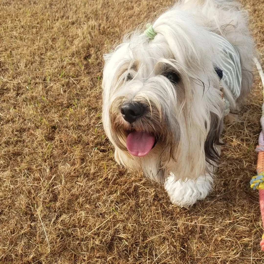 夜中車を走らせて実家に帰省。