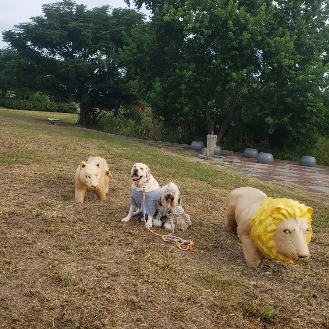 夜中車を走らせて実家に帰省。