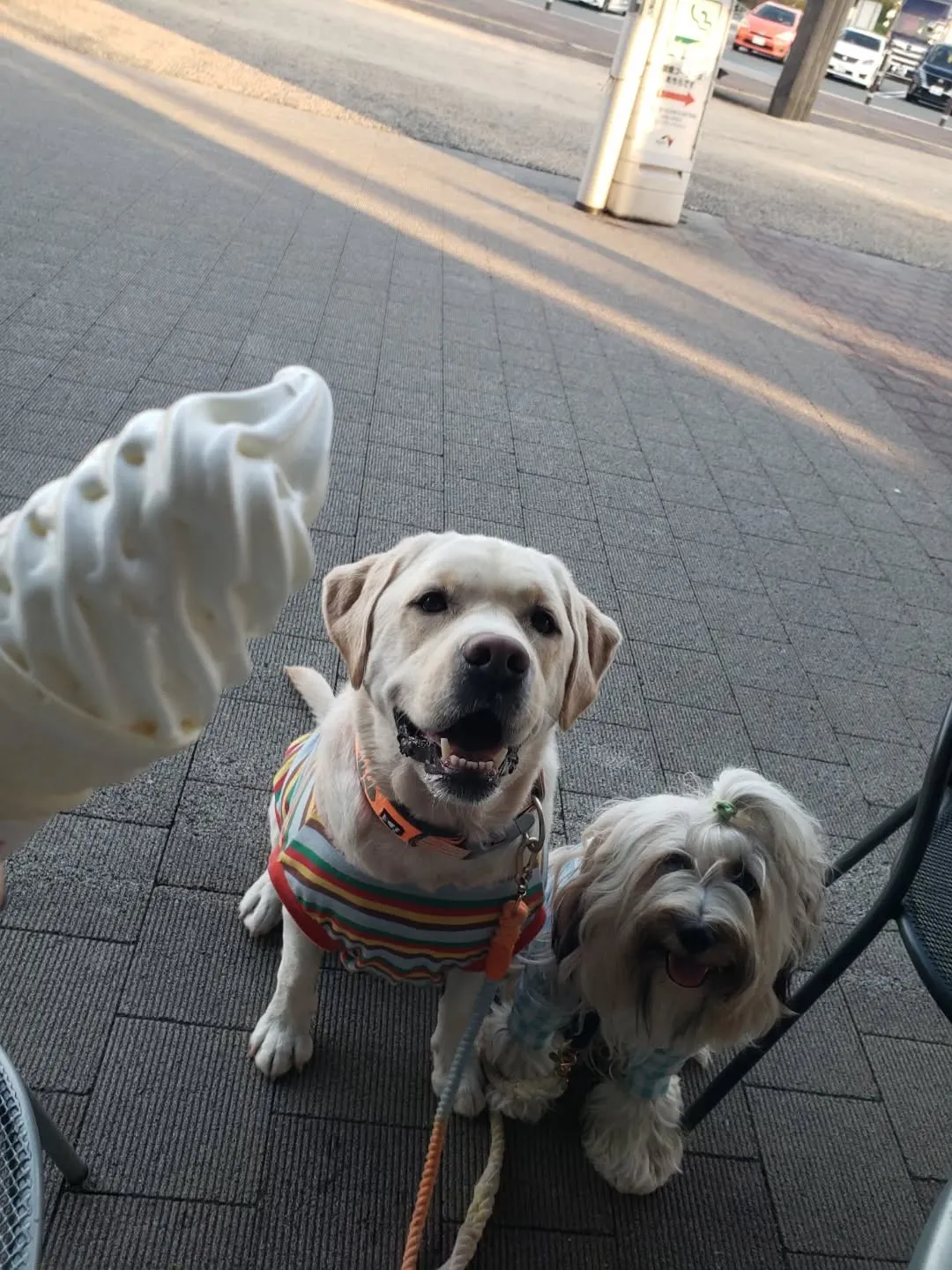 父の1周忌も無事終わり、お墓参りも行ってきました。