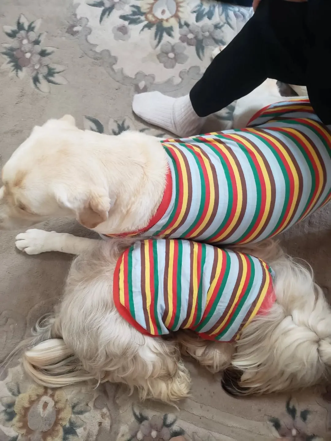 父の1周忌も無事終わり、お墓参りも行ってきました。