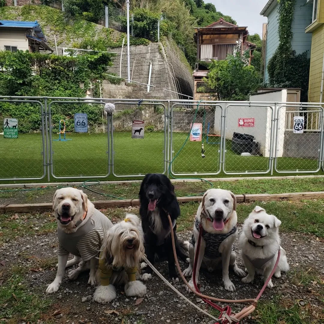 10月にはいりました🎵