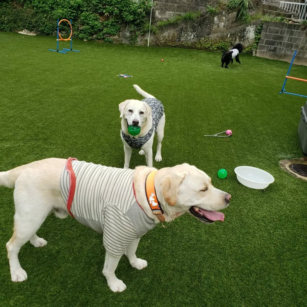 10月にはいりました🎵