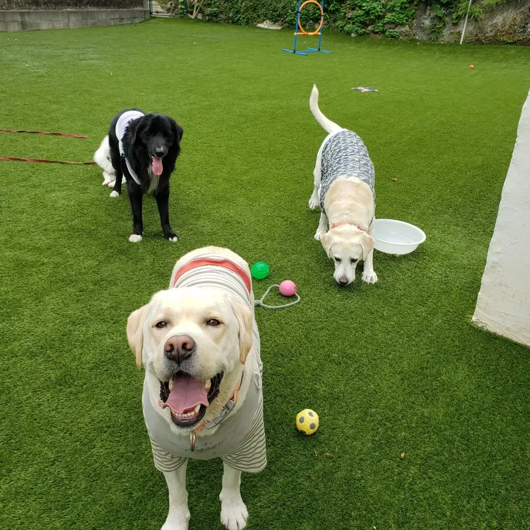 10月にはいりました🎵