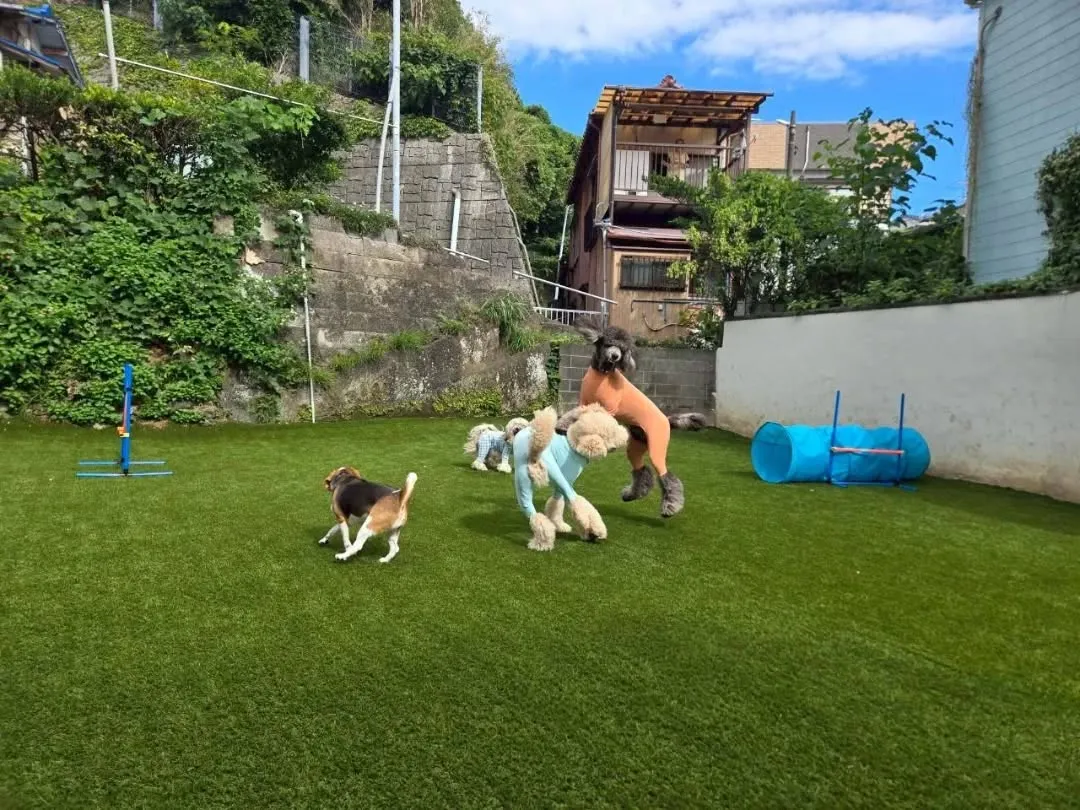 朝から良いお天気になりました😊