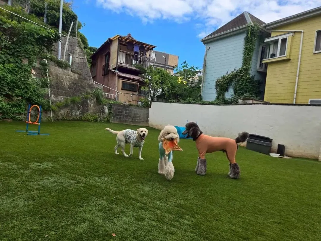 朝から良いお天気になりました😊