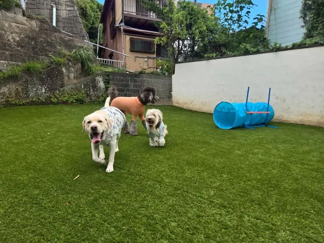 朝から良いお天気になりました😊