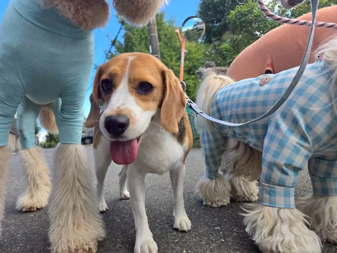 朝から良いお天気になりました😊