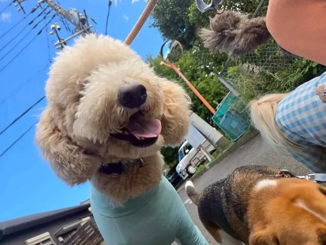 朝から良いお天気になりました😊