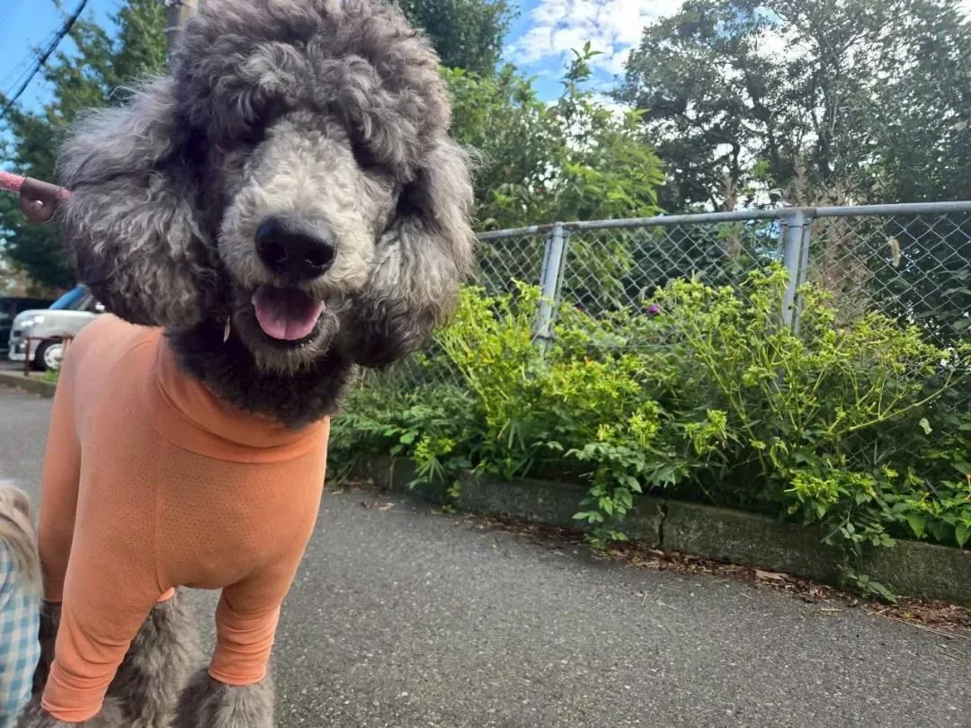 朝から良いお天気になりました😊