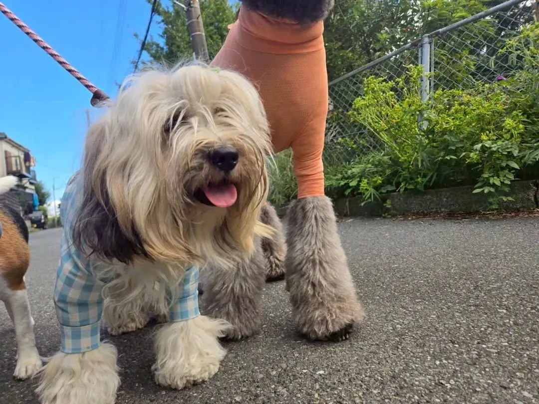 朝から良いお天気になりました😊